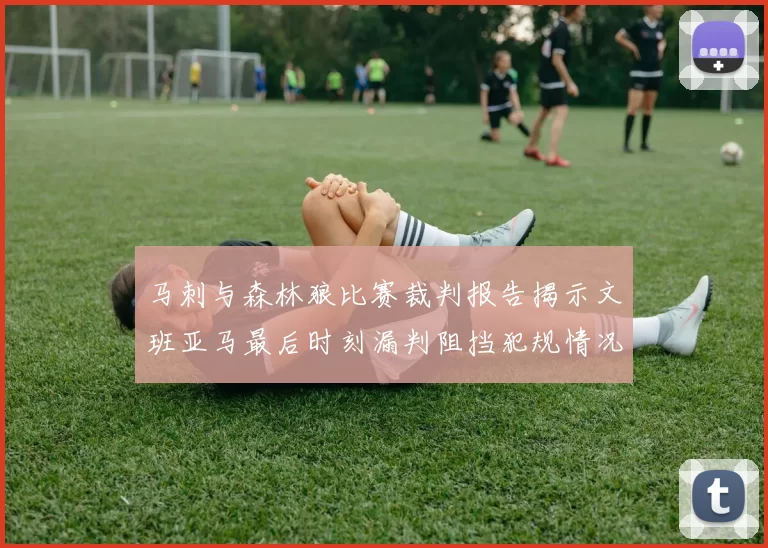 马刺与森林狼比赛裁判报告揭示文班亚马最后时刻漏判阻挡犯规情况