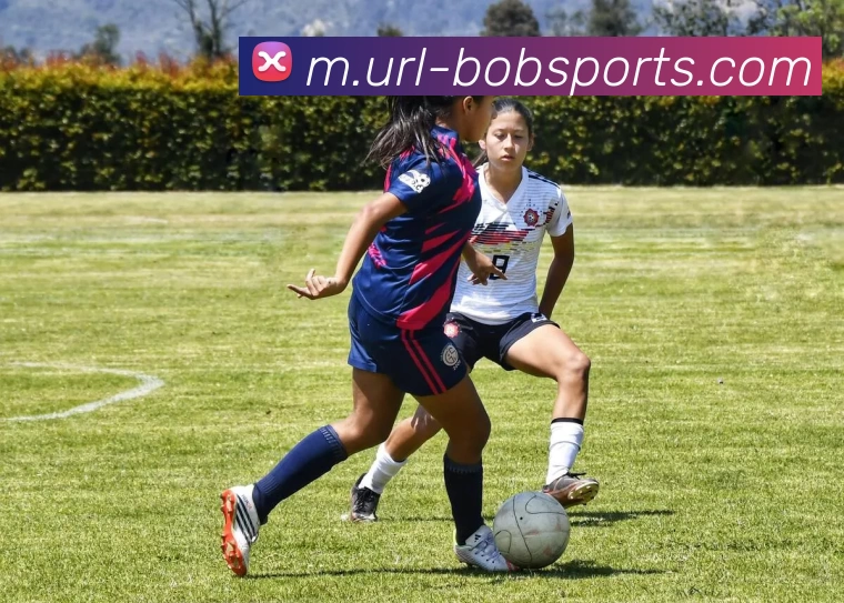 BOB体育服务体系